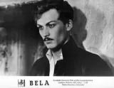 Bela