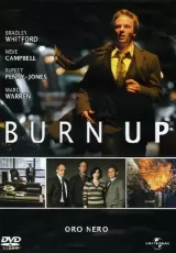 Burn Up