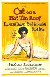 Cat on a Hot Tin Roof