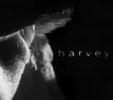 Harvey