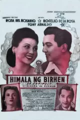 Himala ng Birhen