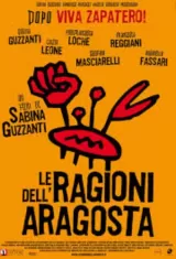 Le ragioni dell\