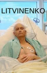 Litvinenko