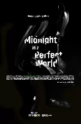 Midnight in a Perfect World