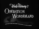 Operation Wonderland