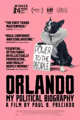 Orlando, My Political Biography