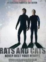 Rats and Cats