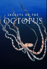 Secrets of the Octopus