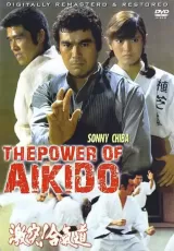 The Defensive Power of Aikido