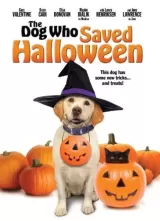 The Dog Who Saved Halloween