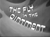 The Fly in the Ointment