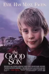 The Good Son