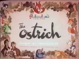 The Ostrich