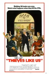 Thieves Like Us