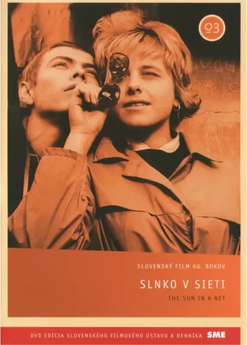 Slnko v sieti