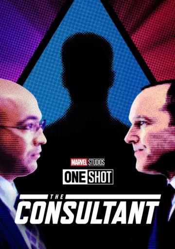 The Consultant