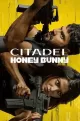 Citadel: Honey Bunny