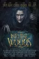 Into the Woods