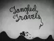 Tangled Travels