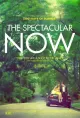 The Spectacular Now