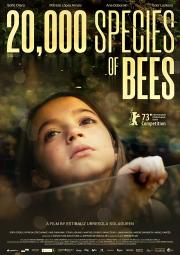 20,000 Species of Bees