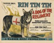 A Dog of the Regiment