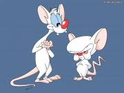 A Pinky & the Brain Christmas Special