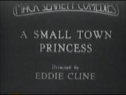 A Small Town Princess