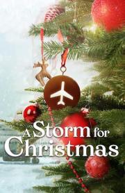 A Storm for Christmas