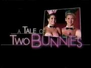 A Tale of Two Bunnies