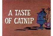 A Taste of Catnip