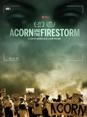 ACORN and the Firestorm