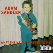 Adam Sandler: What the Hell Happened to Me?