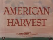 American Harvest