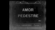 Amor Pedestre