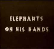 An Elephant on His Hands