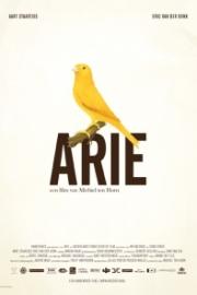 Arie