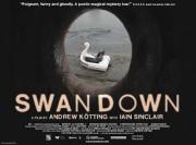 Artefact #5 Swandown