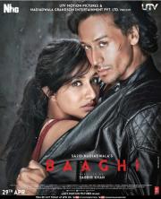 Baaghi: A Rebel For Love