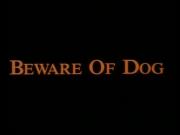 Beware of Dog