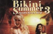 Bikini Summer III - South Beach Heat