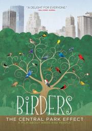 Birders: The Central Park Effect