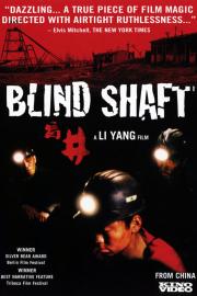 Blind Shaft