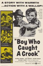 Boy Who Caught a Crook