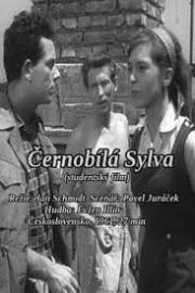 Cernobílá Sylva