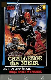 Challenge of the Ninja