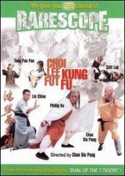 Choi Lee Fut Kung Fu