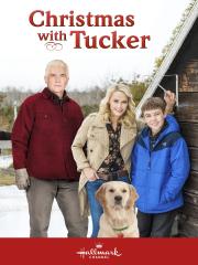 Christmas with Tucker