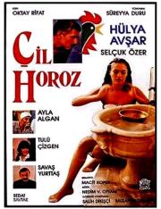 Çil Horoz