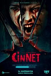 Cinnet